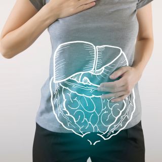 Apoyo natural al organismo y al sistema inmunitario