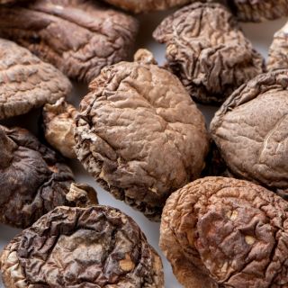 Extracto de shiitake